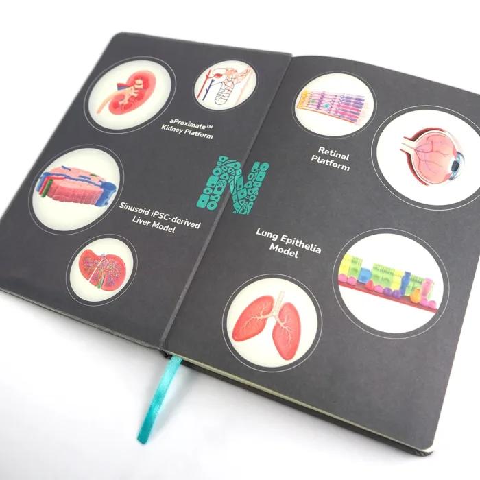 newcells-closeup cover